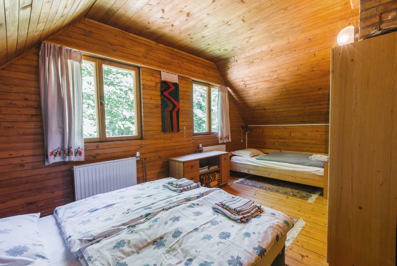 Pocitniska Hisa Radovna Villa Zgornja Radovna Exterior foto