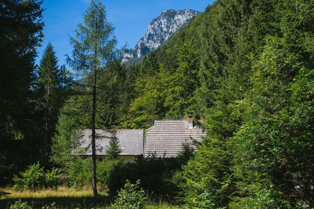Pocitniska Hisa Radovna Villa Zgornja Radovna Exterior foto